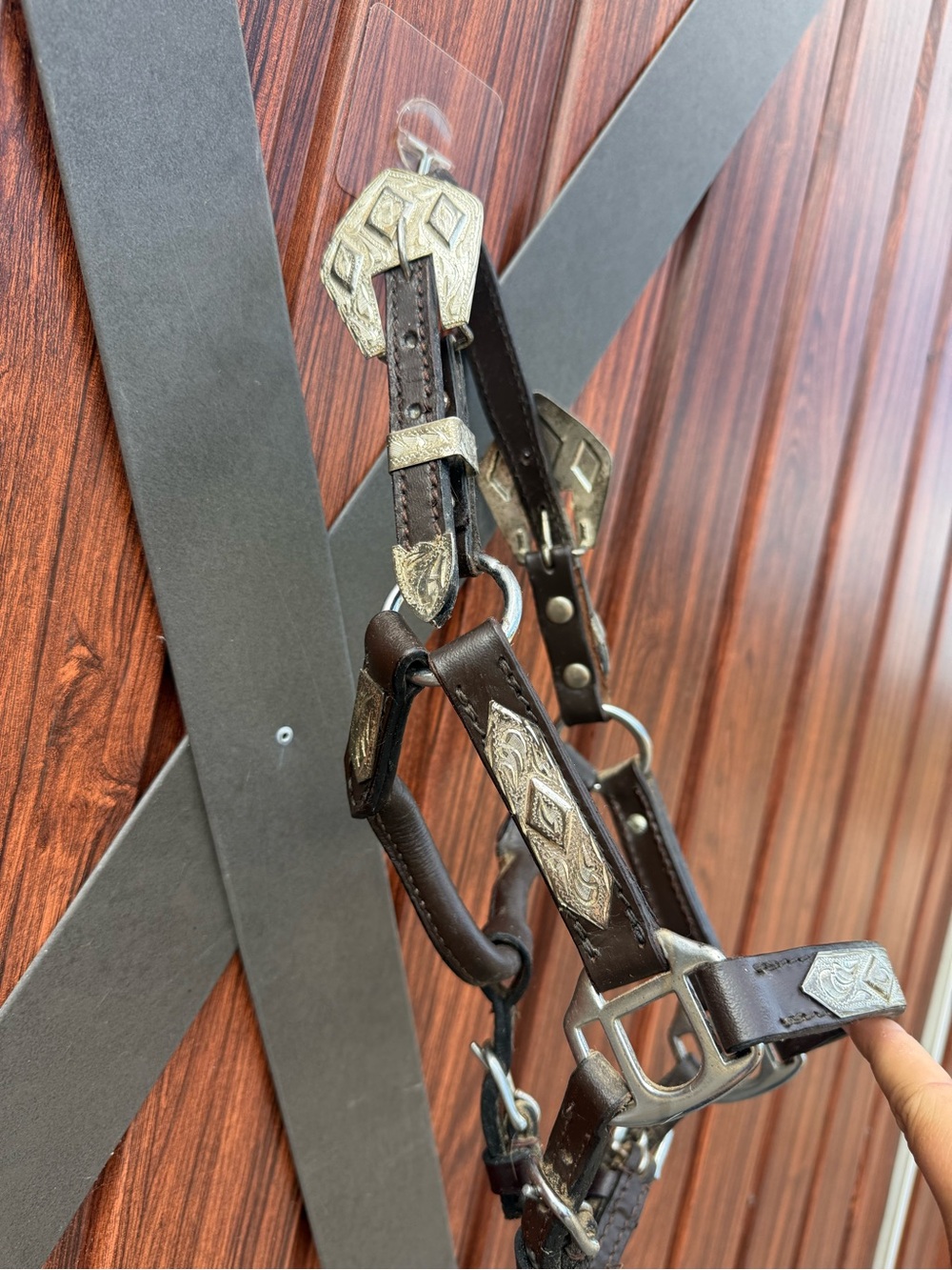 Miniature horse show halter